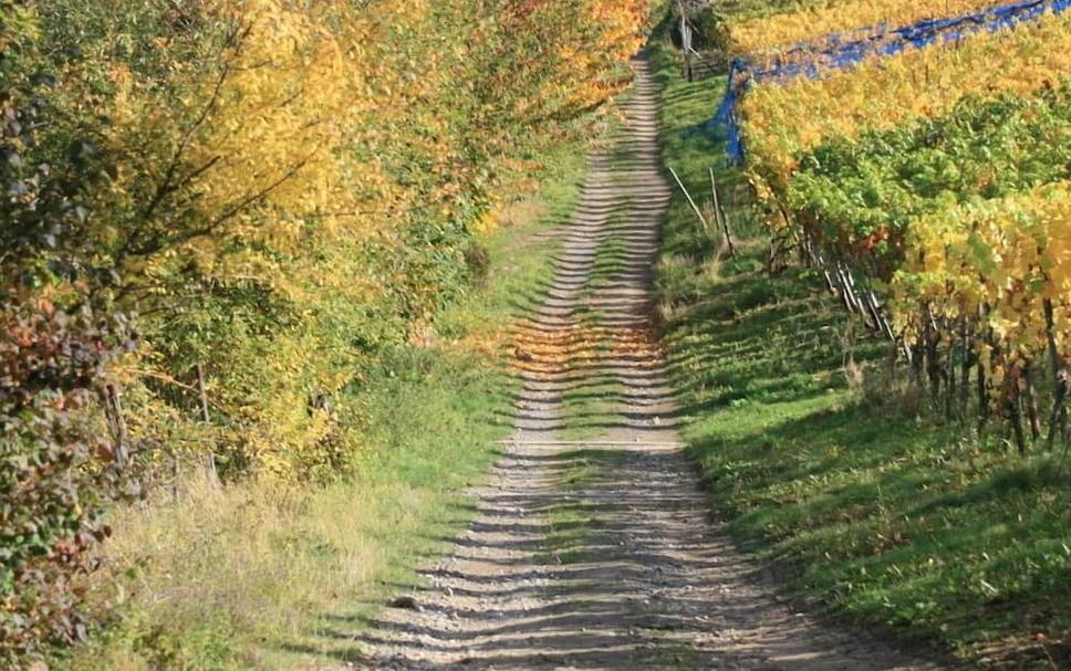 Außenansicht Foto