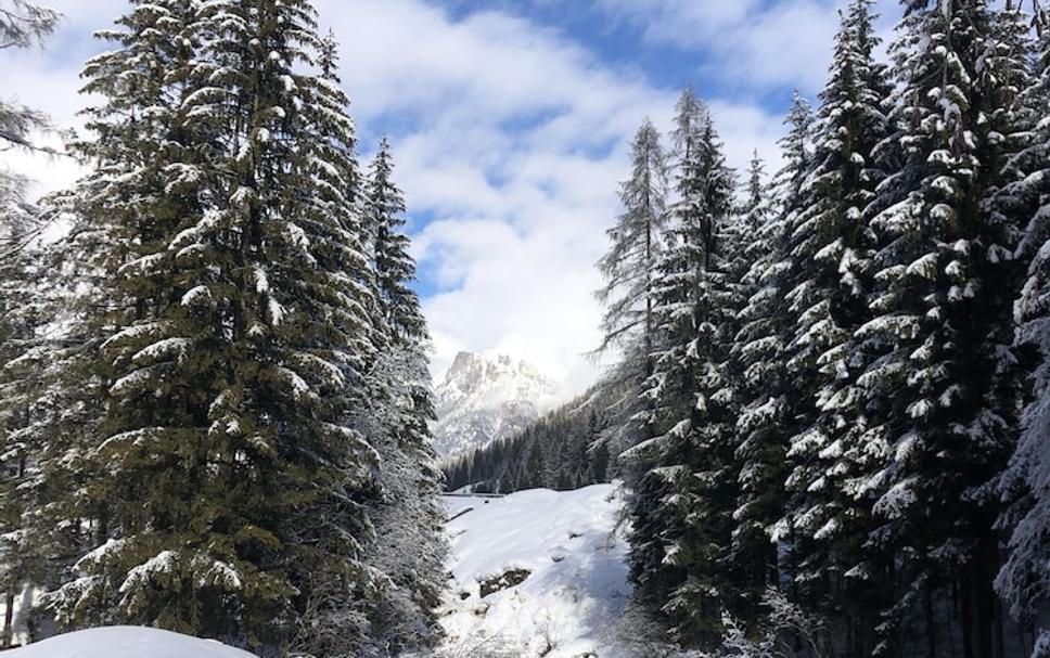 Außenansicht Foto