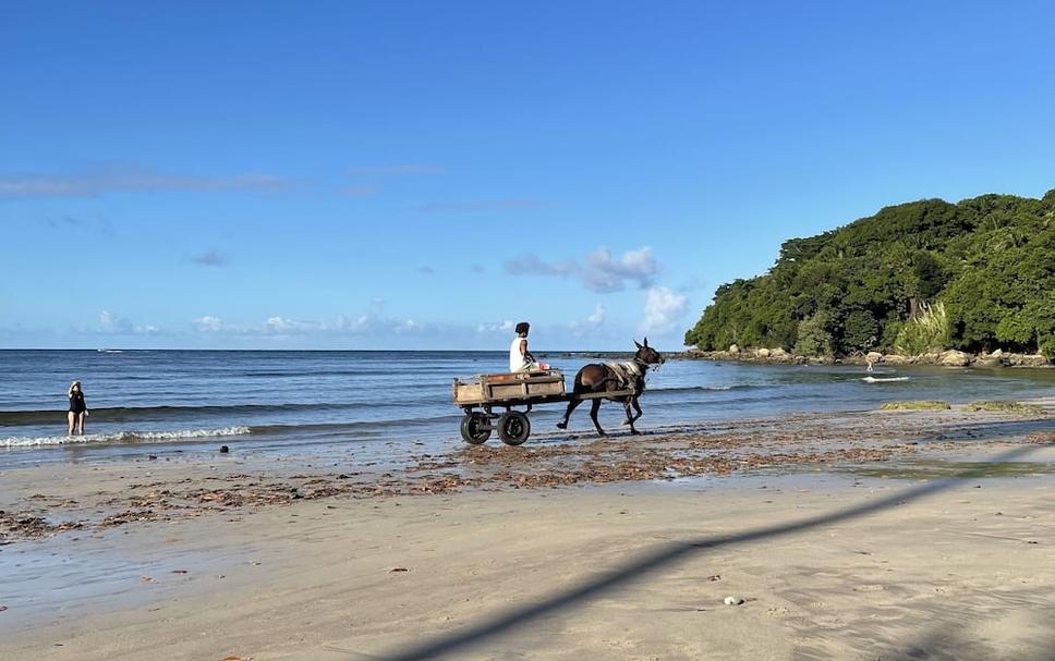 Strand Foto