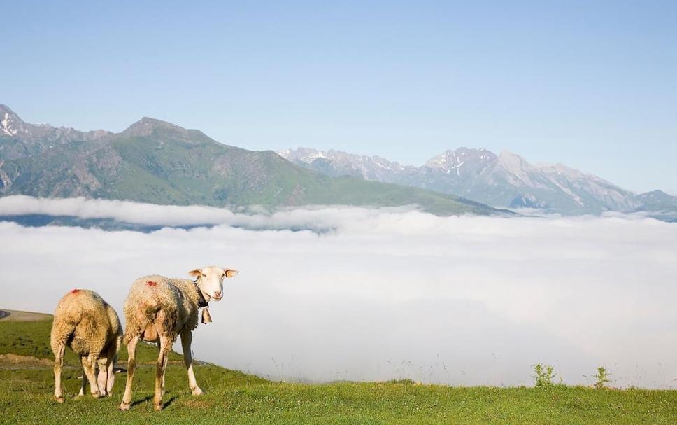 Außenansicht Foto