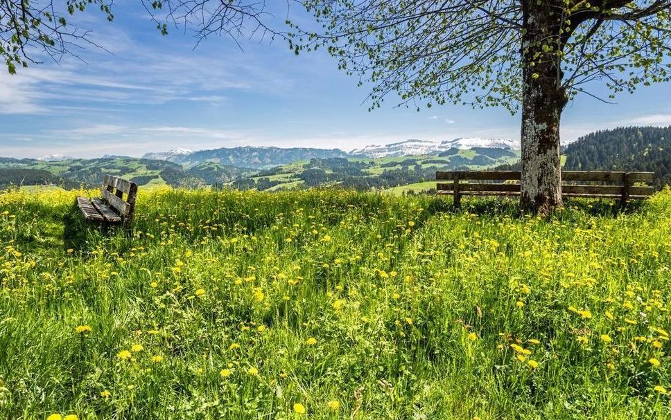 Außenansicht Foto