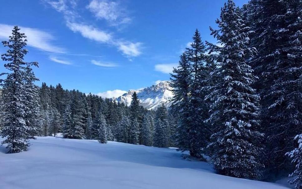 Außenansicht Foto