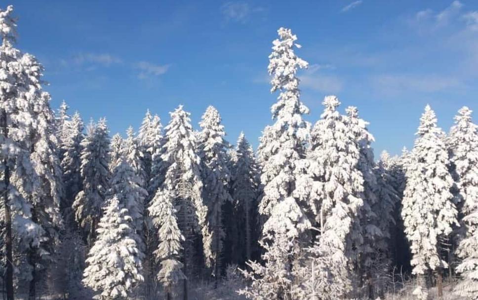 Außenansicht Foto