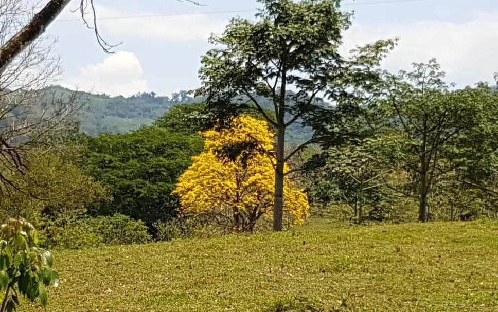 Außenansicht Foto