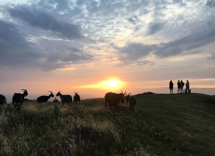 Außenansicht Foto